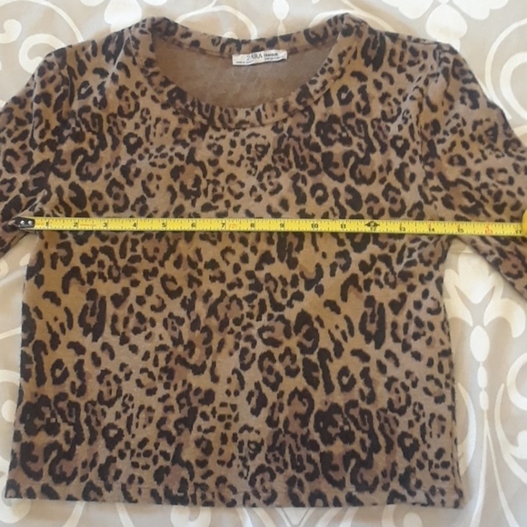 Zara cheetah cropped sweater - Picture 6 of 8